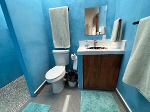 Casa Azul is a tropical oasis