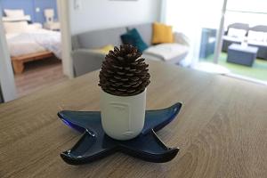 Appartements T2 Acotzeta classe 3 etoiles Saint Jean de Luz quartier Acotz pres des plages : photos des chambres