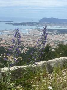 T2 cocooning Toulon center-4 people