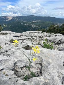 Appartements T2 cocooning Toulon center-4 people : photos des chambres
