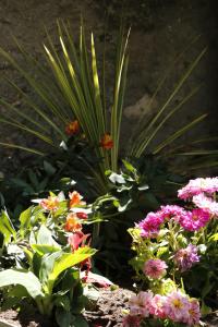 LES MAISONS DE GIROUDET 3 chambres jardin terrasse