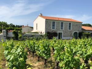 Maisons de vacances Gite confortable au coeur des vignes avec terrasse, velos, WiFi et equipements bebe a 17 km de Nantes - FR-1-306-808 : photos des chambres
