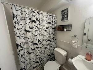 Apartamento Boldo Curico