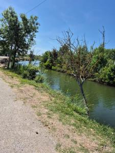 Mobil-Home Le Provençal