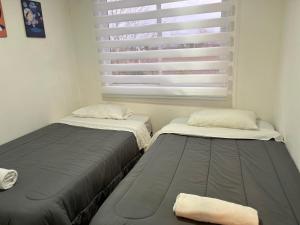Apartamento boldo Curicó