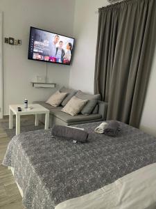 Dominik apartment