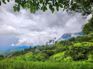 Mi Paraiso Escondido, Tamesis