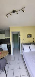 Appartements Studio climatise a 50 m des thermes : photos des chambres