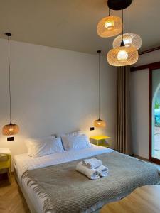 Longtimenosea bangsaen ลองไทม์โนซี บางแสน