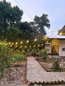 Glampin By Tharu Garden