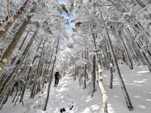 Guesthouse HOALOHA 4 SEASONS