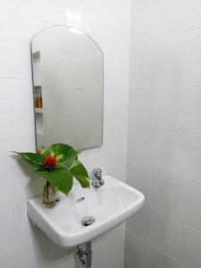 Manda Homestay