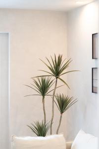 JS暁宅-白雪 shirayuki