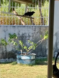 Casa no distrito da guia