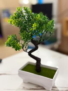 Trees Residence by Gracenz