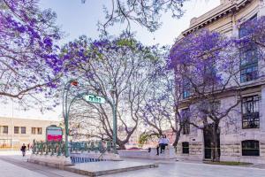 Exclusiva vista a Bellas Artes