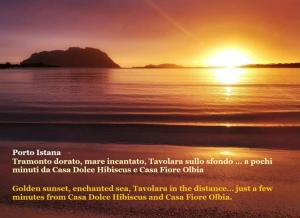 Casa Dolce Hibiscus img53