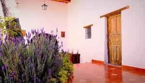 Casa Orquídea con Alberca en Centro Histórico