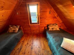 Apartament pod Dębem II