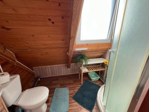 Apartament pod Dębem II