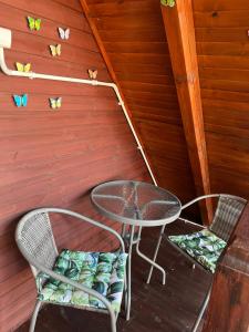 Apartament pod Dębem II