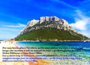 Casa Fiore Olbia img34