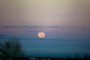 Akua Reserve en Aldea Zama Vigilancia, Wifi, Alberca