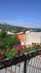 Apartments and rooms Bionda