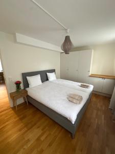 Gabija Apartments Luxury Rentals