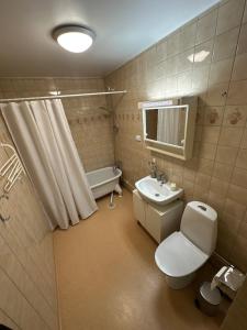 Gabija Apartments Luxury Rentals