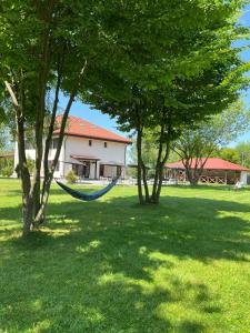 Pensiunea Negoiu