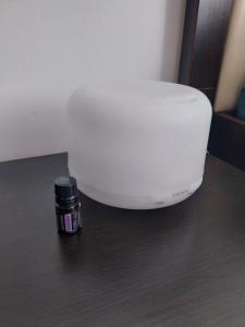 Ianca Urban Stay