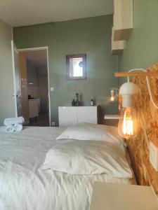 Residence Leclerc - Appartements d'hotes - Secteur thermal : photos des chambres