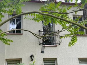 Leśna Residence Comfort Apartment by BookingHost