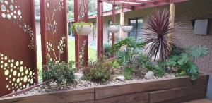 Barooga Country Inn Motel