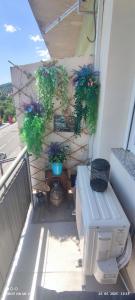 Studio apartman Sirius