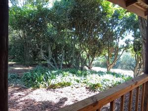 Eagles Nest Bed & Breakfast