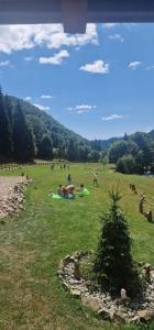 Pensiunea Poiana Țibleș