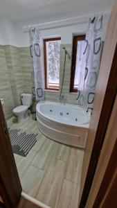 Pensiunea Poiana Țibleș