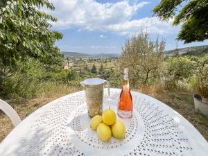 Appartements Les Terrasses de l-Adrech : photos des chambres