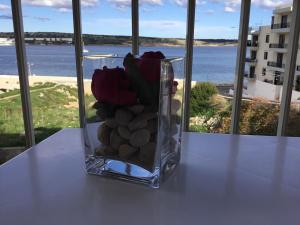 Seaview Haven ocean view apartment