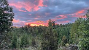 The Chilote Hideaway