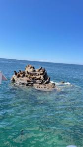 The Chilote Hideaway