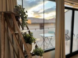 Maisons de vacances Au soleil couchant : photos des chambres