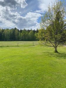 Cozy cottage on horse farm in Bollnäs