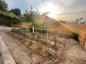 The Doctors house - Το σπίτι του γιατρού