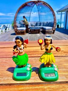 Aloha Mabul Scuba Lodge