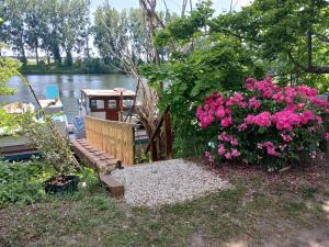 Studio sur leau - Bateau Diva