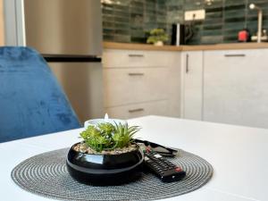 Apartmán v klidné části Hradce