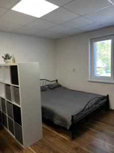 Apartmán Laura v centre